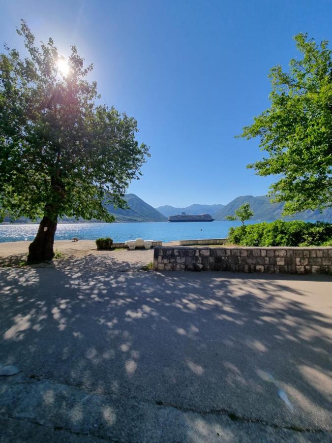 Apartment On The Shore Of The Bay Of Kotor With Free Wi-Fi 외부 사진